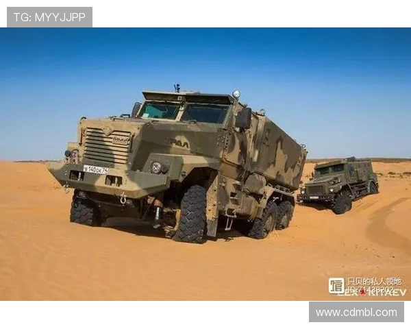 伊朗与加拿大排球对决精彩纷呈谁将赢得这场国际较量