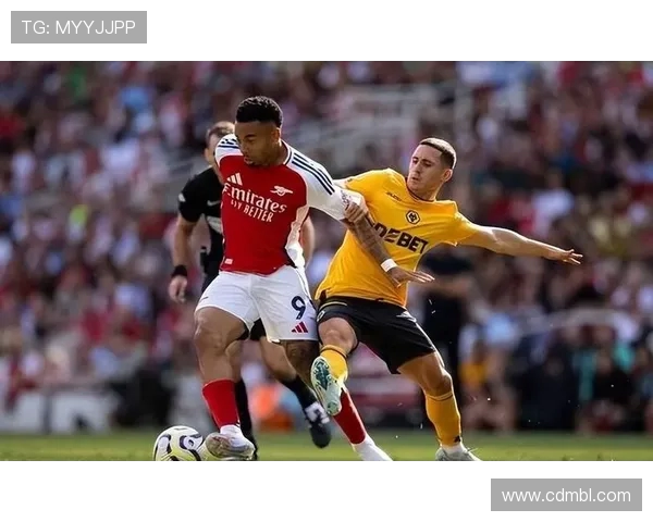 埃弗顿对阵里昂精彩视频直播全程回顾与赛后分析